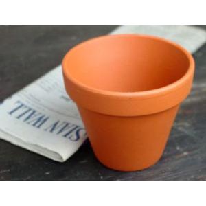 ドイツ鉢 内径9cm