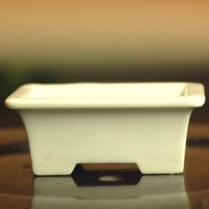 禎山 2.8号 植木鉢 反 長角 磁器