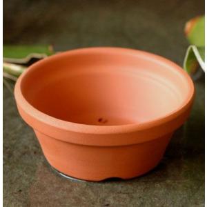 2.5号 朱温鉢 浅