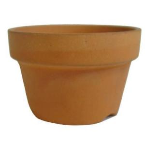 植木鉢 2号 朱温鉢 浅鉢 素焼 日本製