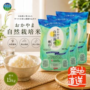 食品 朝日米 自然栽培 玄米 15kg