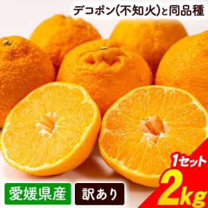 愛媛県産 訳あり デコみかん 不知火 2kg 送料無料 デコポン と同品種 みかん 柑橘 お取り寄せ フルーツ産地直送 3-7営業日以内に出荷 土日祝除く