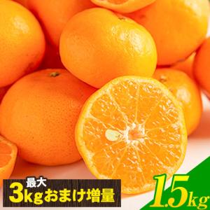 愛媛 ポンカン 訳あり ぽんかん 1.5kg 完熟 送料無料 おまけ 産地直送 果物 フルーツ  3-7営業日以内に出荷 土日祝除く