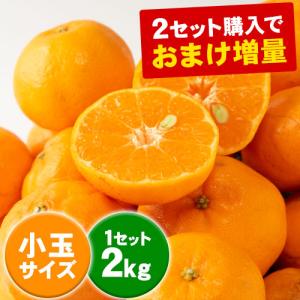 ［ご好評につき完売!］愛媛 ポンカン 小玉 訳あり ぽんかん 2kg 完熟 送料無料 おまけ 産地直送 果物 フルーツ  3-7営業日以内に出荷 土日祝除く