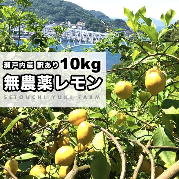 採れたて発送！瀬戸内無農薬レモン　広島県産　国産レモン１０kg 家庭用　訳あり　送料無料