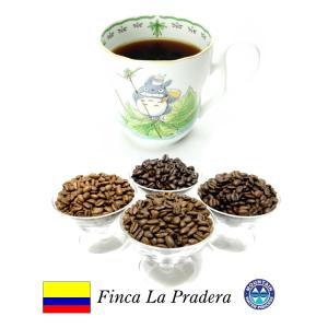 無農薬99.9％カフェインフリー オーダーメイド　デカフェ コロンビア　ラ・プラデーラ農園　100g カフェインレスコーヒー ディカフェ｜setoyaki-coffee