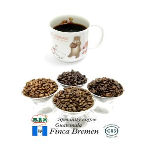 無農薬99.9％カフェインフリー・オーダーメイド　デカフェ　グァテマラ　ブレーメン農園　100g　　カフェインレスコーヒー｜setoyaki-coffee