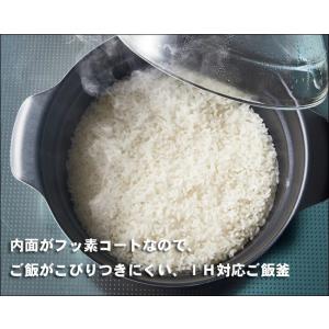 ハリオ ご飯釜 IH対応 フタがガラスのIH対...の詳細画像1