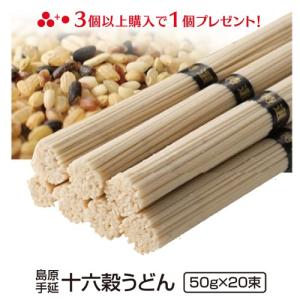 内祝い お返し お取り寄せ グルメ 食品 ご当地 贈答 お土産 うどん 送料無料  十六穀うどん もち麦 島原 手土産 長崎 20束入り