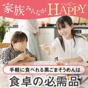 そうめん ギフト 黒ごま 手延べ 素麺 内祝い...の詳細画像1