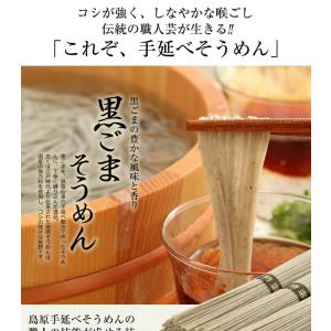 黒ごまそうめん ポイント利用 お試し グルメ ...の詳細画像2
