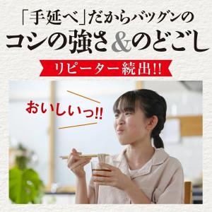 素麺 島原そうめん 保存食 非常食 そうめん ...の詳細画像3