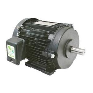 東芝 三相モータ IKKH3-FCKA21E-7.5KW-2P-AC200V 全閉外扇 屋内仕様 脚...