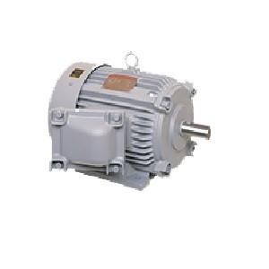三菱電機（MITSUBISHI ELECTRIC） （生産終了品） 三菱 三相モーター 