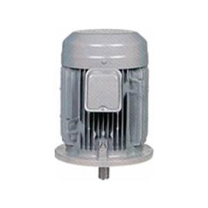 SANDVIK T−Max SNMM 19 06 12-PR P 旋削用ネガチップ(112) 4335 10個