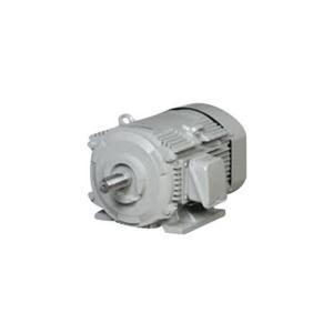 日立（HITACHI） フランジ取付屋内モータ 18.5kW VTFO-LKK 4P 三相200V