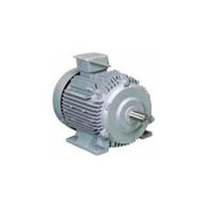 日立（HITACHI） 三相モータ TFO-LK-2.2kW-4P-TMU-AC200V 全閉外扇 