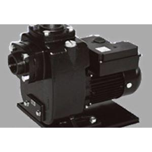 三相電機 鋳鉄製自吸式ヒューガルポンプ 25PSZ-2021B 鋳鉄製・冷温水用