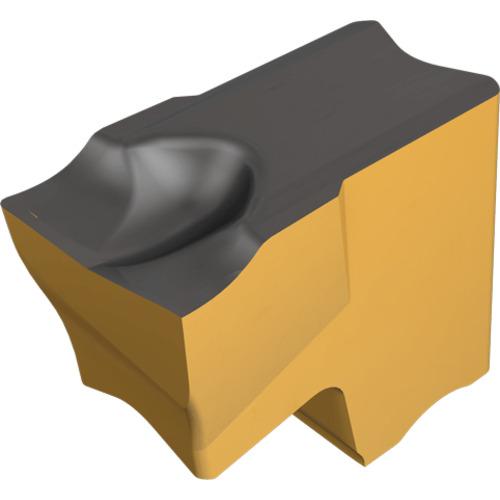 イスカル タンググリップ TAGL6.3J-4D チップ TAG R/L−J/JS IC808 10...