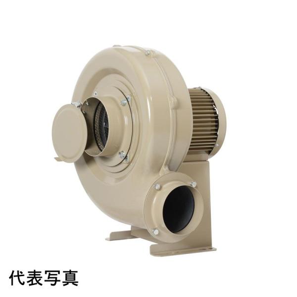 SDG（昭和電機） 送風機 EC-75S-R3A3 コンパクトシリーズ ターボファン 0.2kW 単...