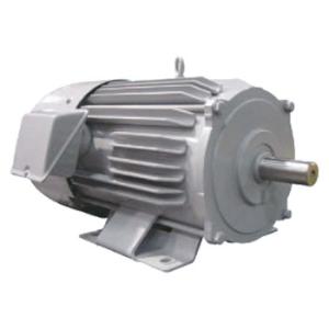 （在庫あり） 三菱 三相モーター SF-PRB-2.2kW-4P-TB AC200V 4極 汎用 脚...