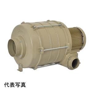 SDG（昭和電機） 送風機 EC-63S-R3A3 コンパクトシリーズ ターボファン