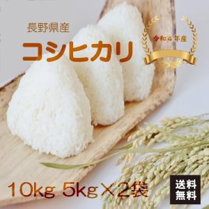 こしひかり 10kg 5kg×2 令和4年産 長野県産 米 お米 白米 おこめ 精米 単一原料米 ブランド米 10キロ 送料無料 国内産 国産