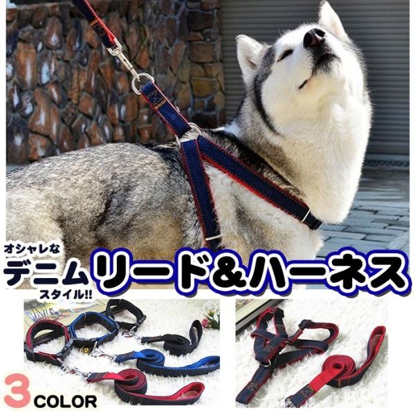 犬 猫 ハーネス リード ペット デニム 胸あて ベスト  胴輪 キャット ドッグ メッシュ