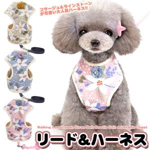 BURBERRY（バーバリー） ドッグリード 8073365 レザー バーバリー