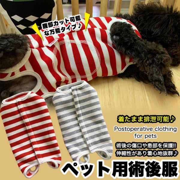 犬 猫 術後服 術後ウェア ボーダー 服 傷 舐めない 傷口保護 ペット用品  ペット服 エリザベス...