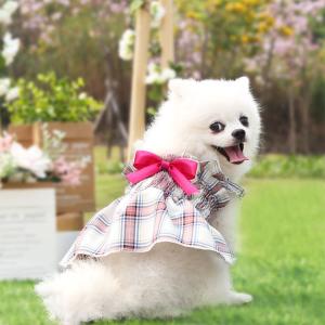 犬 猫 服 ドッグウェア ワンピース ドレス ...の詳細画像3
