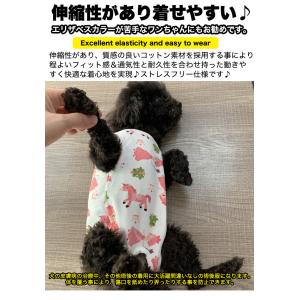 犬 猫 術後服 術後ウェア おしゃれ デザイン...の詳細画像3