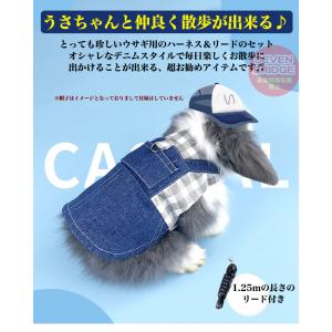 うさぎ ウサギ ハーネス リード 付 小動物 ...の詳細画像1