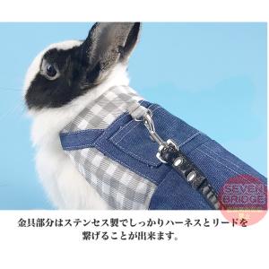 うさぎ ウサギ ハーネス リード 付 小動物 ...の詳細画像3
