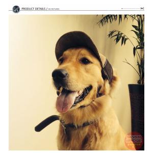 犬 帽子 猫 ドッグ キャップ G ペット ワ...の詳細画像3