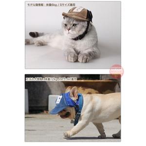 犬 帽子 猫 ドッグ キャップ G ペット ワ...の詳細画像5