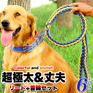 犬 首輪 極太 リード 首輪 ２点セット 頑丈 首や喉に優しい ペット ドッグ チョーカー 編込み 大型犬 中型犬 小型犬