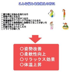 正規品 アサヒ ストレッチングボード Ver2...の詳細画像1