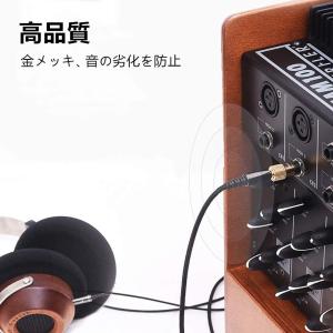 ステレオ プラグ 変換 2個セット ステレオ標...の詳細画像2