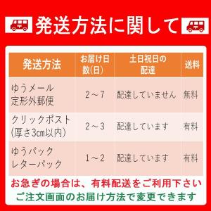 TSA002 TSA007 TSA マスターキ...の詳細画像4