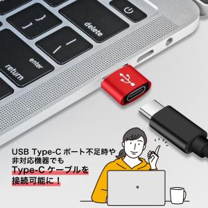 タイプC USB 変換アダプタ Type-C ...の詳細画像2