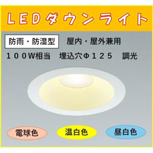 大光電機 DDL-6134WW LEDダウンライト Σ[Z] : 住設建材カナモンジャー