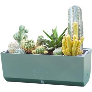 プランター 底面 吸水 中型 植木鉢 観葉植物 多肉植物 花 ハーブ サボテン 室内 ベランダ 室外