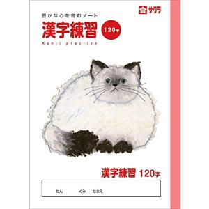 学習帳 漢字練習 120字 NP55 10 10冊 NP55