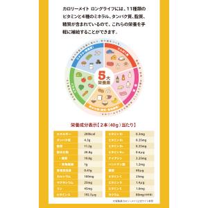 カロリーメイト ロングライフ チョコ 3年 1...の詳細画像2