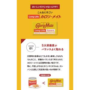 カロリーメイト ロングライフ チョコ 3年 1...の詳細画像1