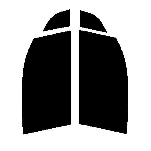 ハーフスモーク　76％ 運転席、助手席　 BMW　i3 1Z00・1Z06　カット済みフィルム