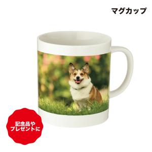 【写真入り オリジナルマグカップ】 名入れ プレ...の商品画像