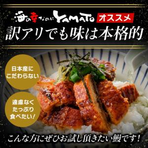 【割引クーポン発行中!】訳あり 刻み鰻“炭火”...の詳細画像4
