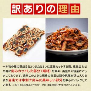 【割引クーポン発行中!】訳あり 刻み鰻“炭火”...の詳細画像5